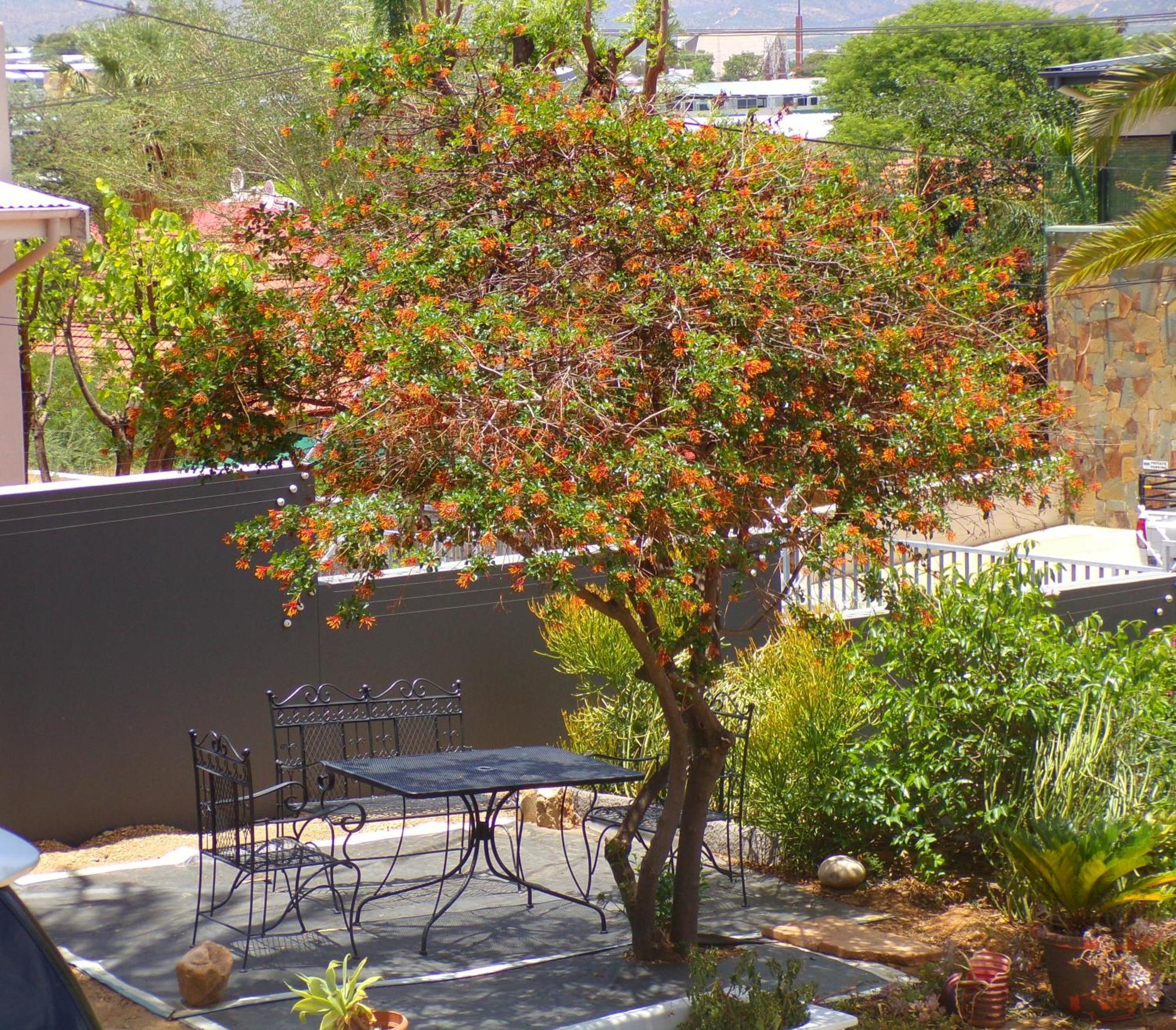 Apartamento Sapphirea@54 Windhoek Exterior foto